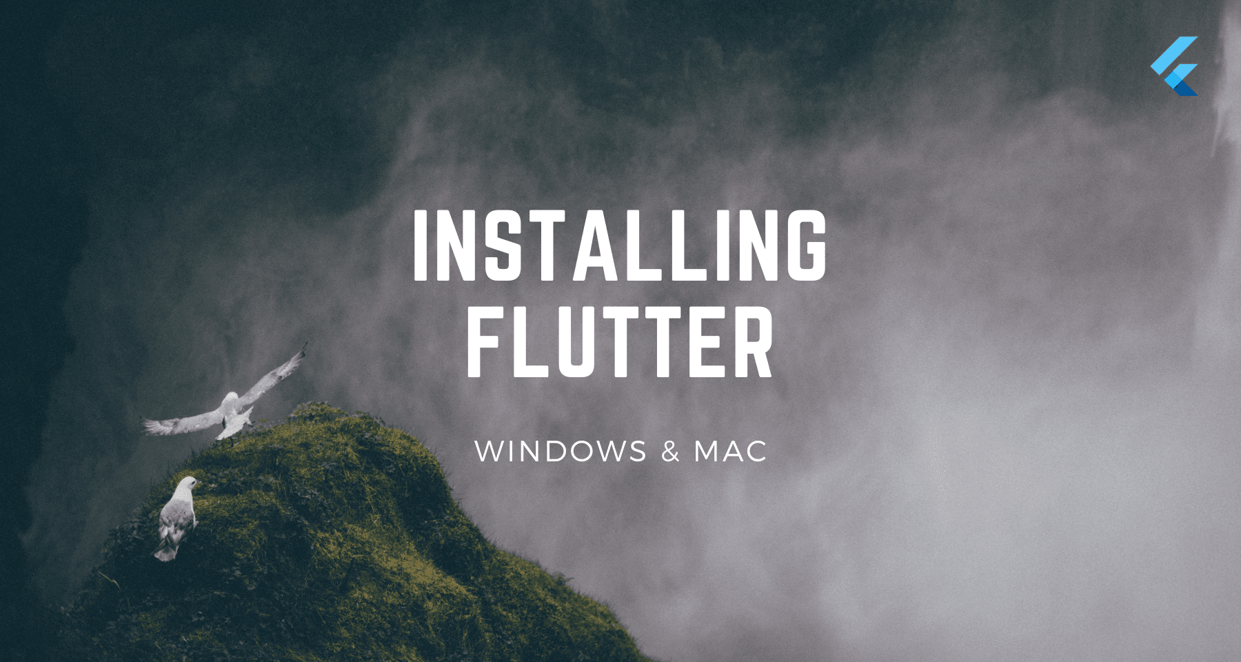 How to install Flutter on Mac & Windows